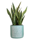 Teal Kufic: Ayat Al-Kursi (L)
