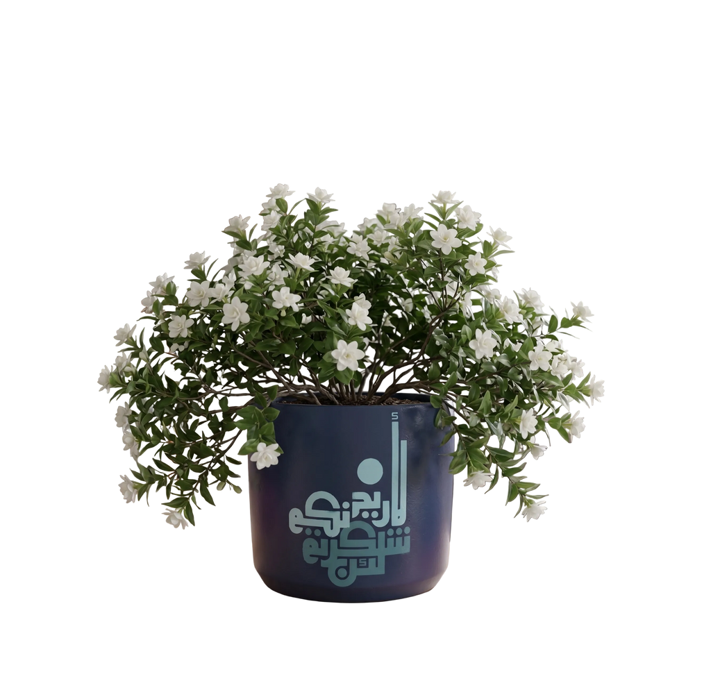Navy Blue Calligraphy Planter (M)