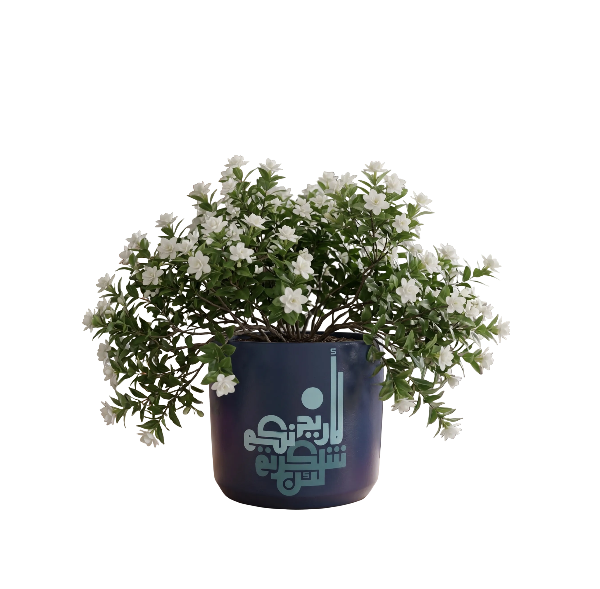 Navy Blue Calligraphy Planter (M)