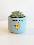 You are my Sunshine (S)
