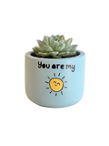 You are my Sunshine (S)