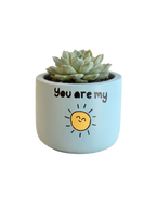 You are my Sunshine (S)
