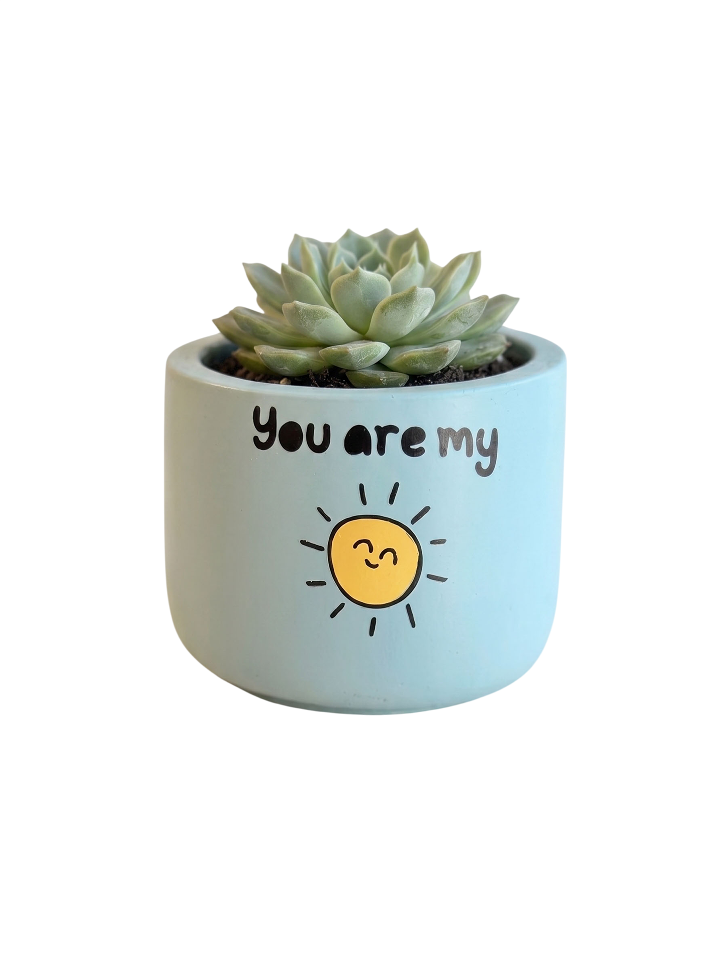 You are my Sunshine (S)