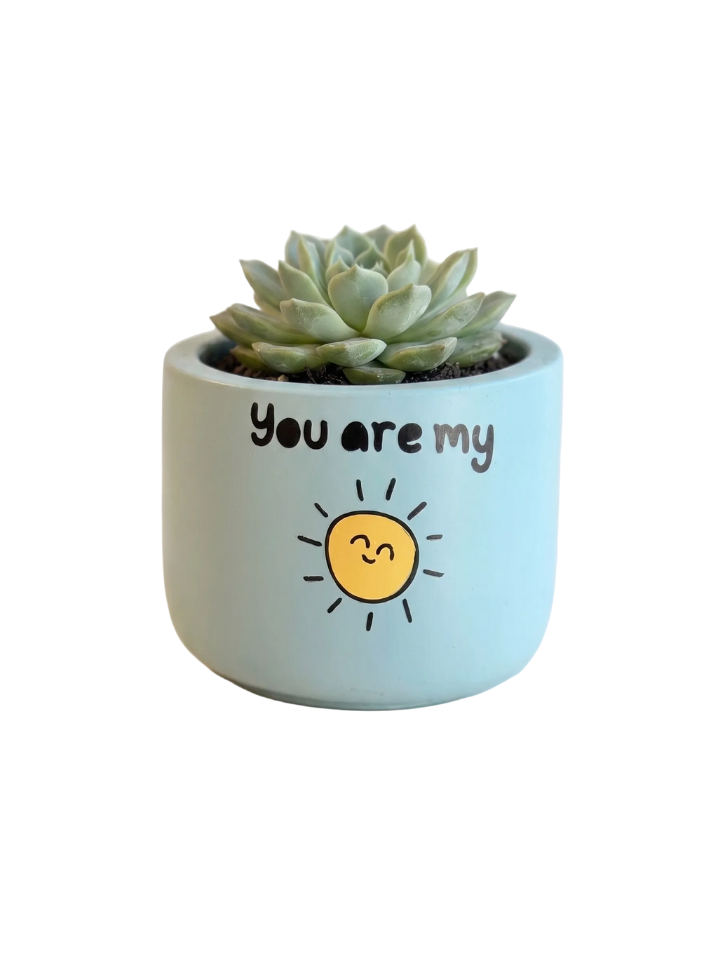 You are my Sunshine (S)