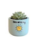 You are my Sunshine (S)