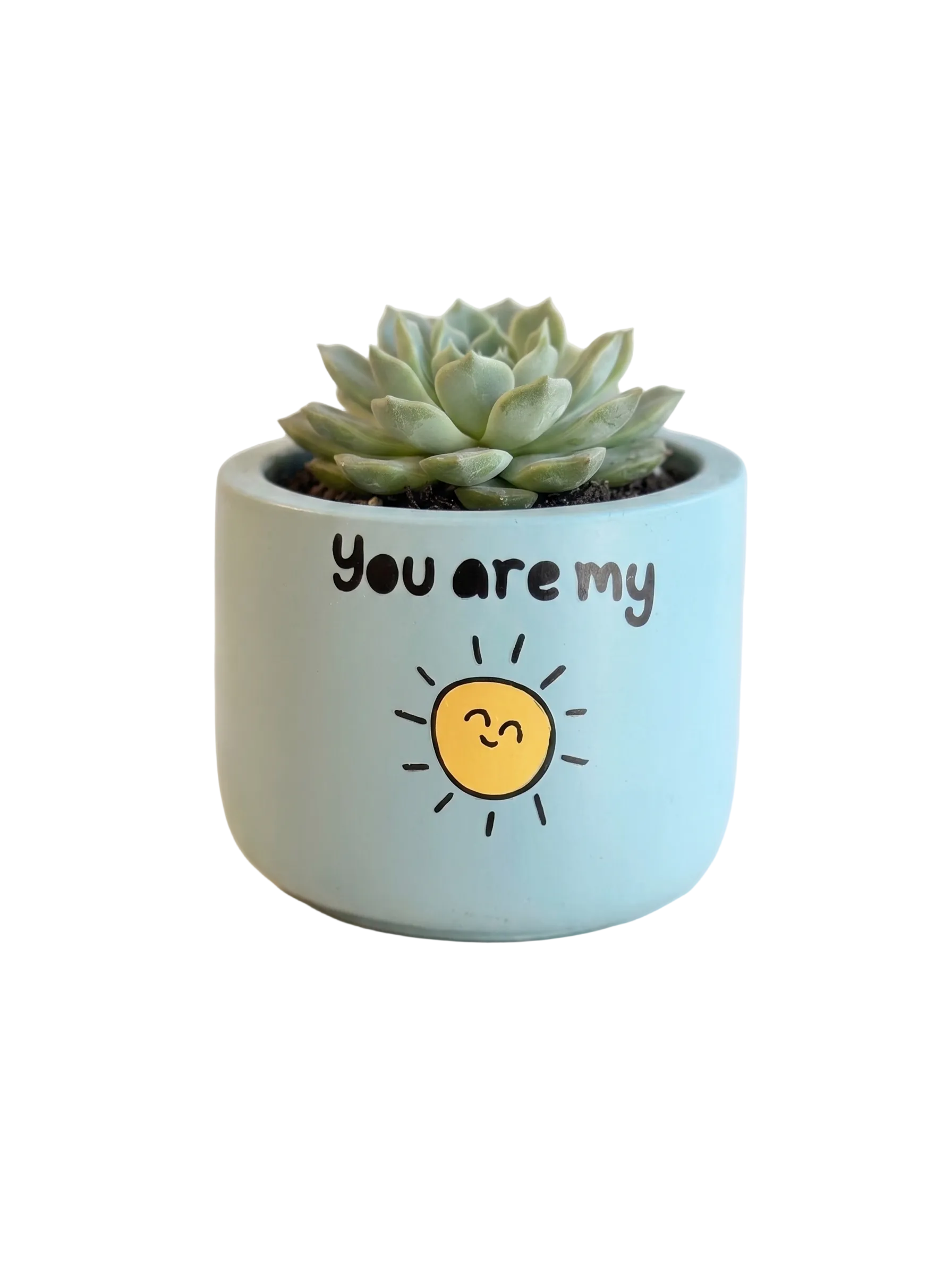 You are my Sunshine (S)
