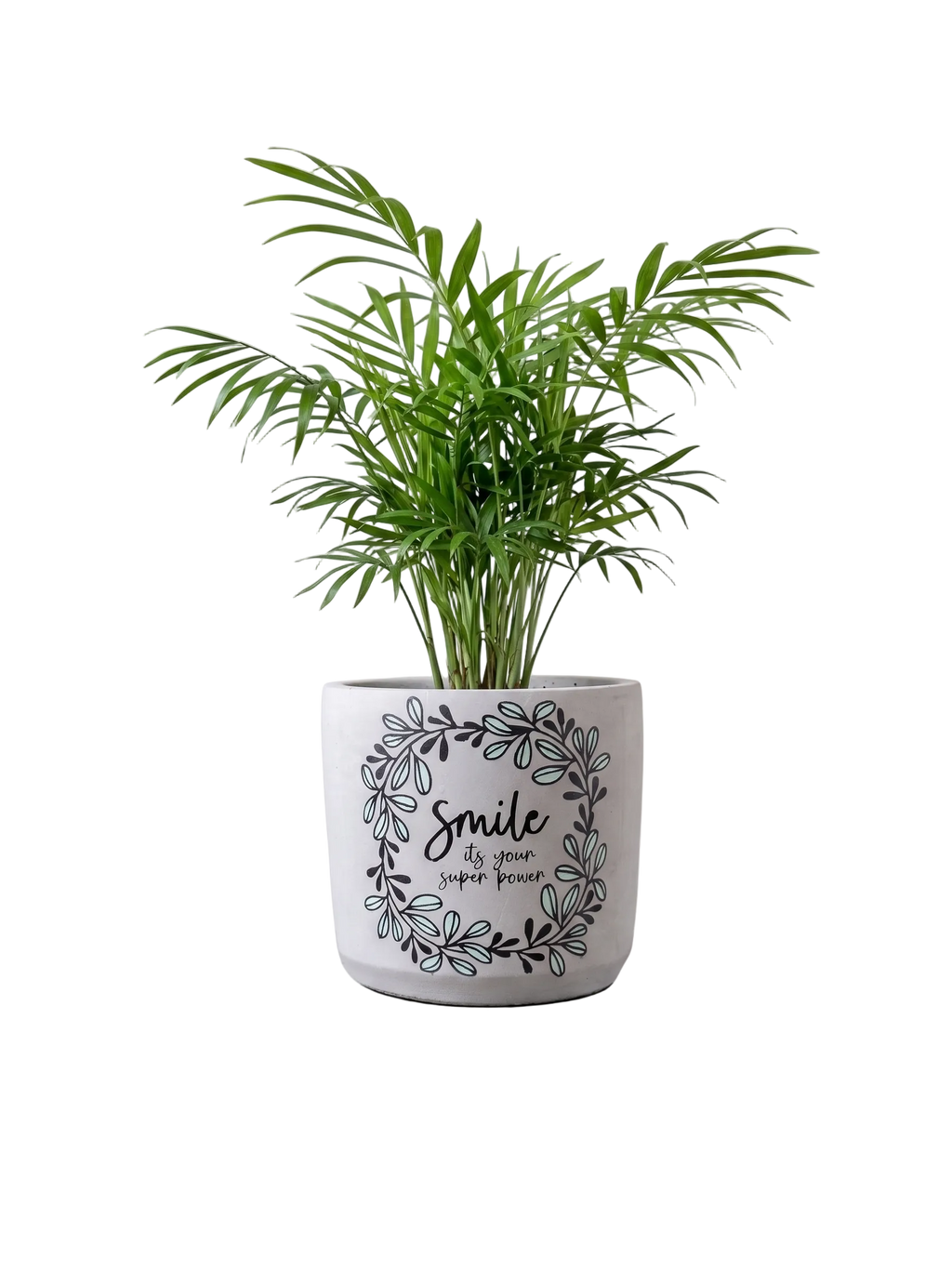 Smile Planter (M)