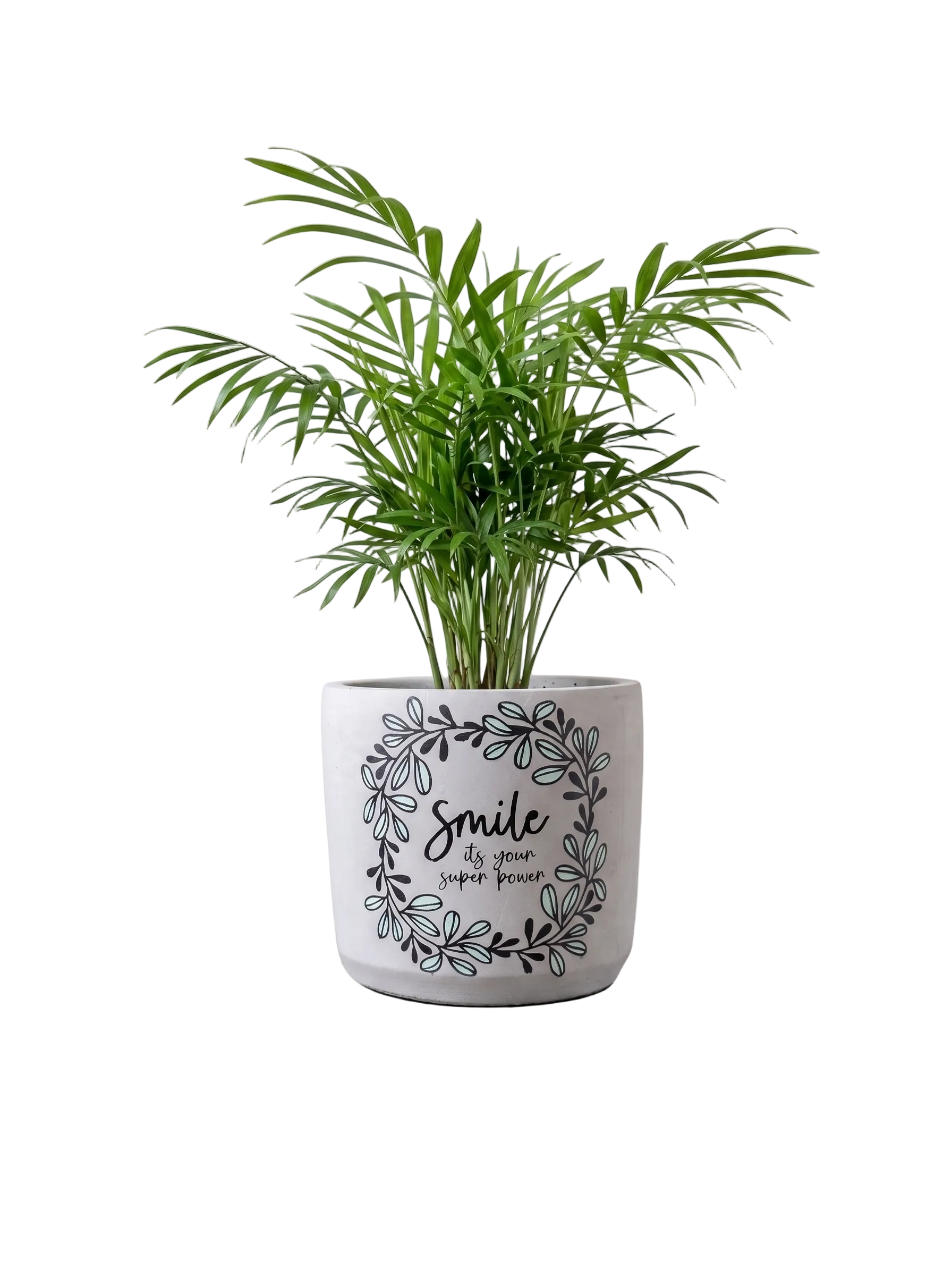Smile Planter (M)