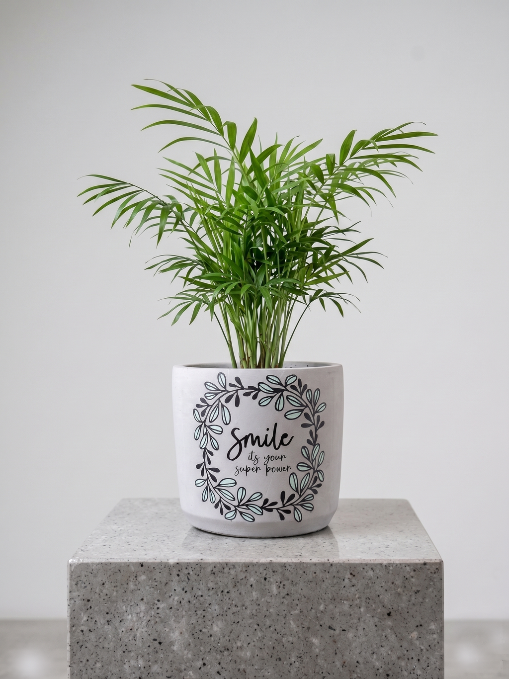 Smile Planter (M)