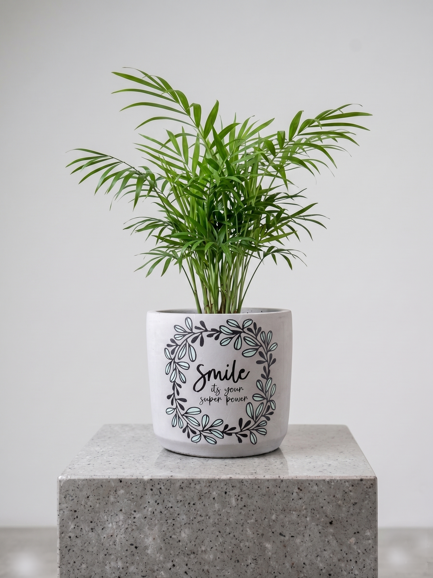 Smile Planter (M)