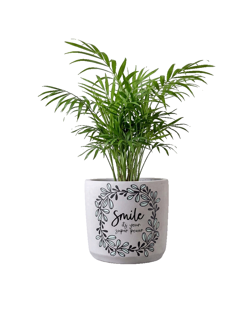 Smile Planter (M)
