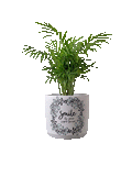 Smile Planter (M)