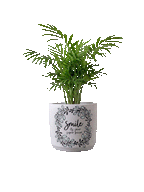 Smile Planter (M)