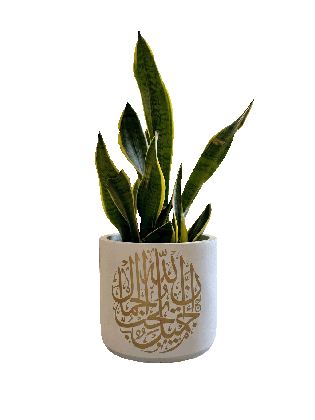Allah Jamilon (L)