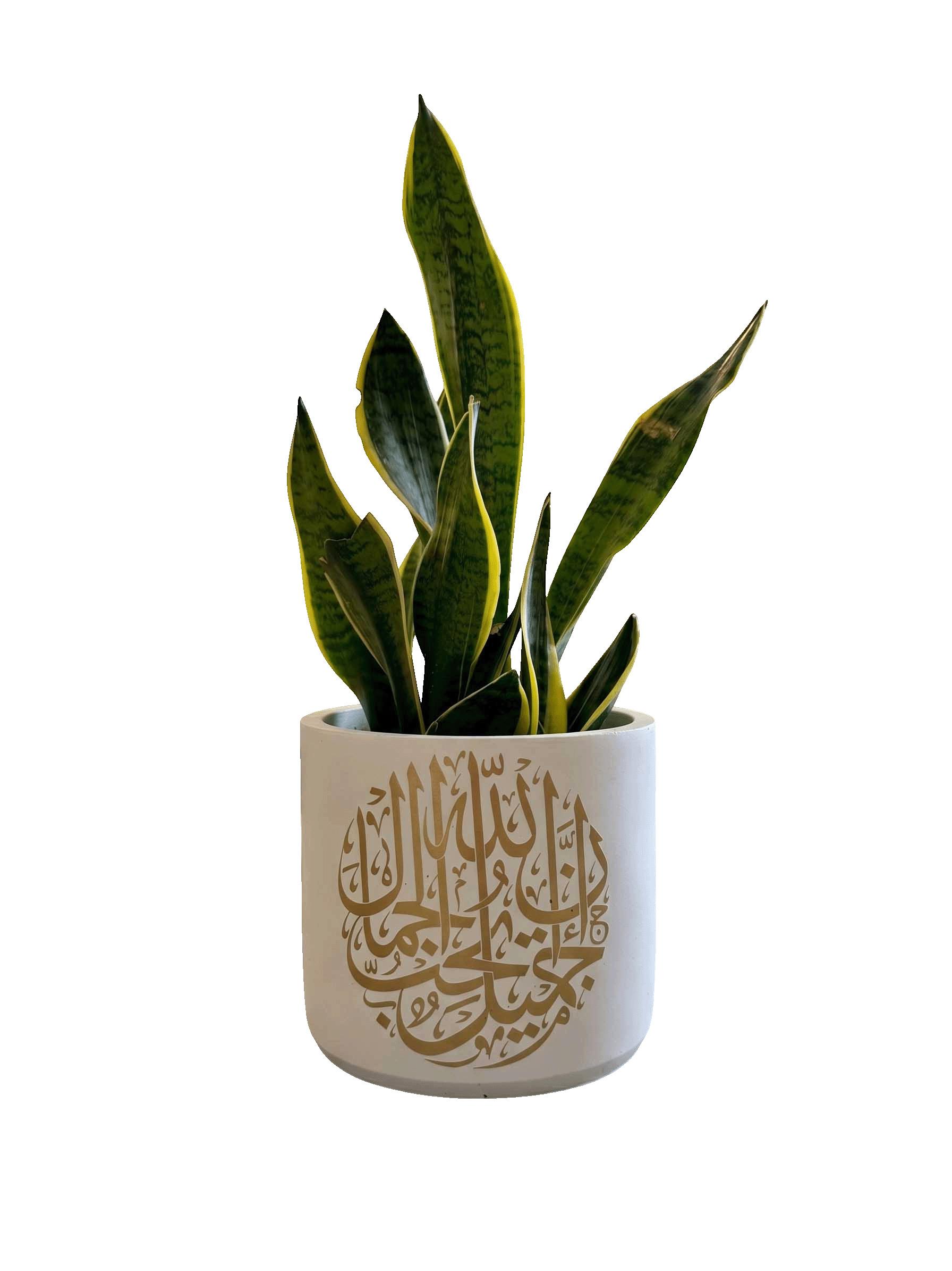 Allah Jamilon (L)