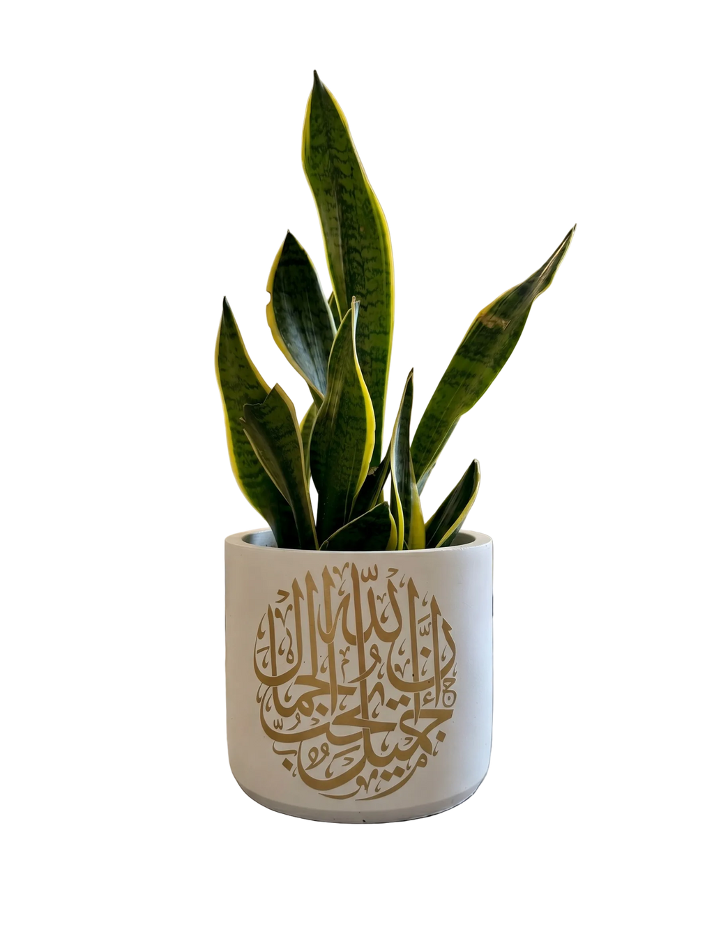 Allah Jamilon (L)