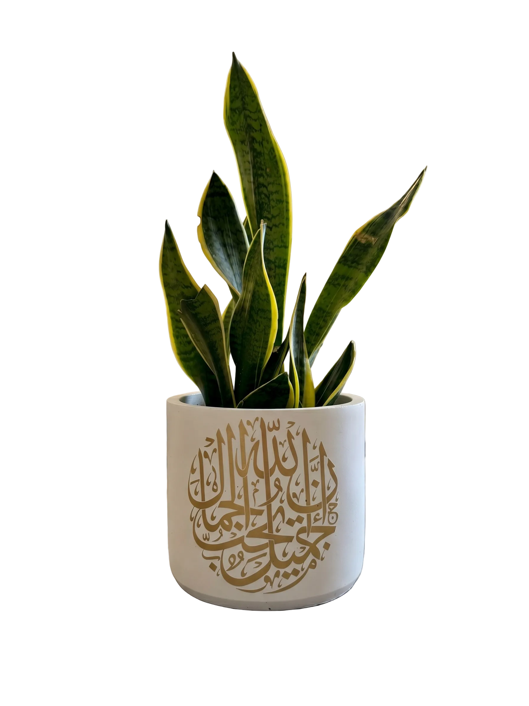 Allah Jamilon (L)