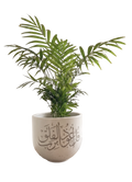 Surat AL-Falak (M)