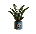 The Sophia Planter (L)