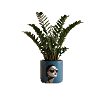 The Sophia Planter (L)