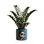 The Sophia Planter (L)