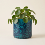 Teal Leaf Planter (M)