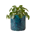 Teal Leaf Planter (M)