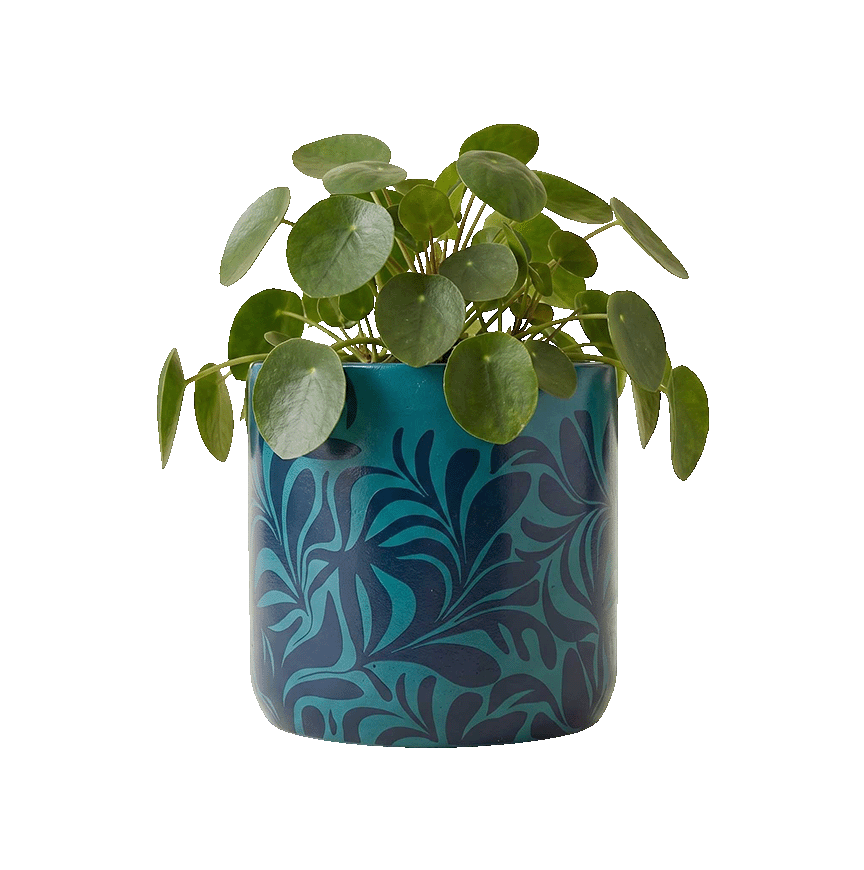 Teal Leaf Planter (M)