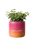 Make it Happen - 1 (M)