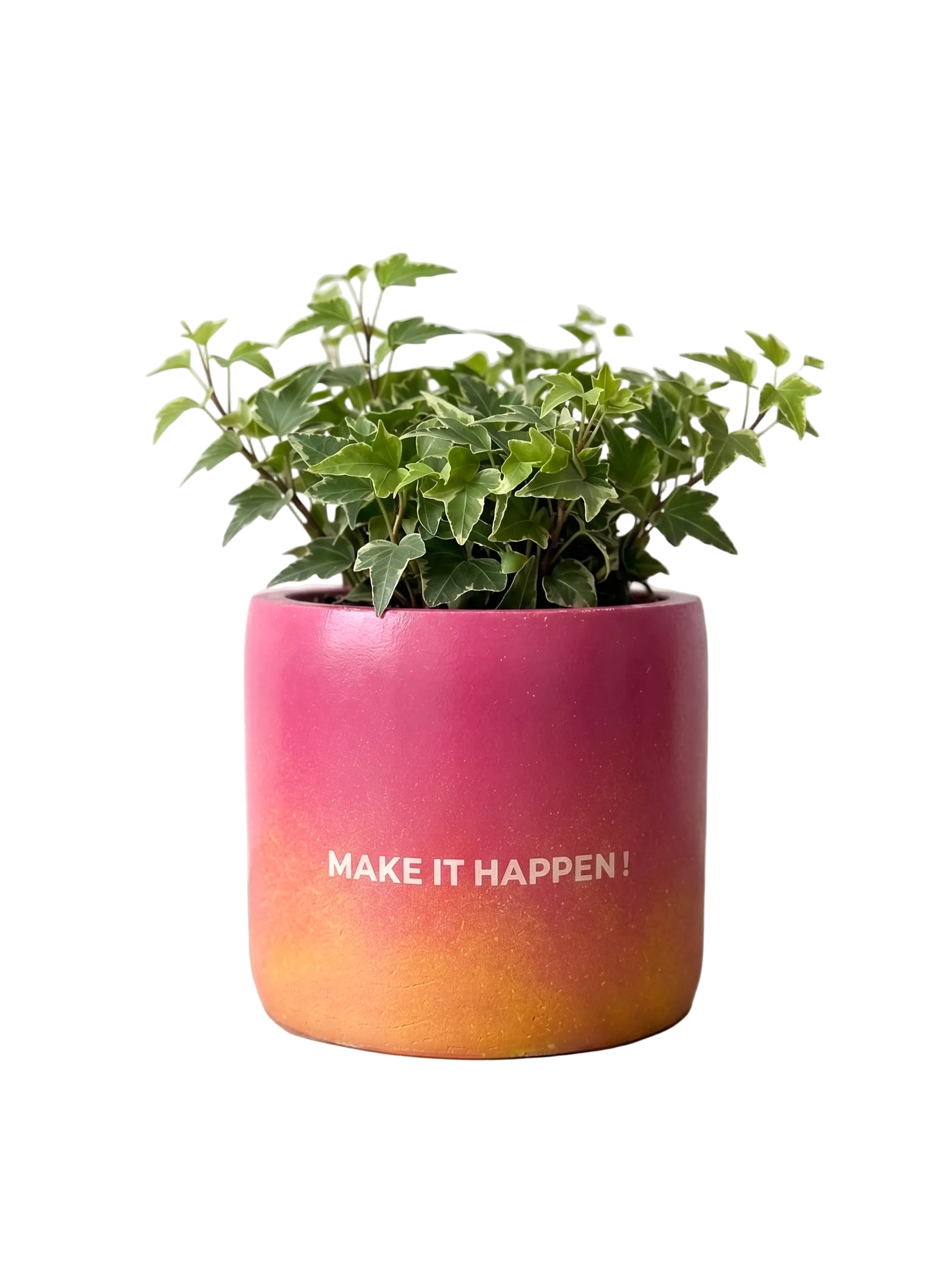 Make it Happen - 1 (M)