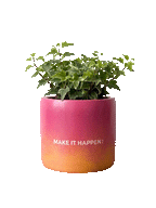 Make it Happen - 1 (M)