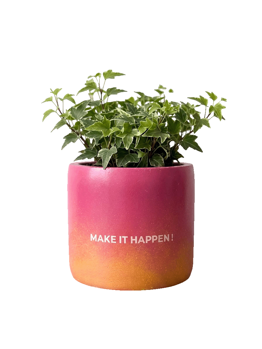 Make it Happen - 1 (M)