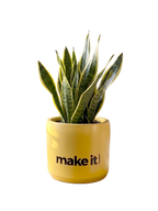 Make it happen -2 (M)