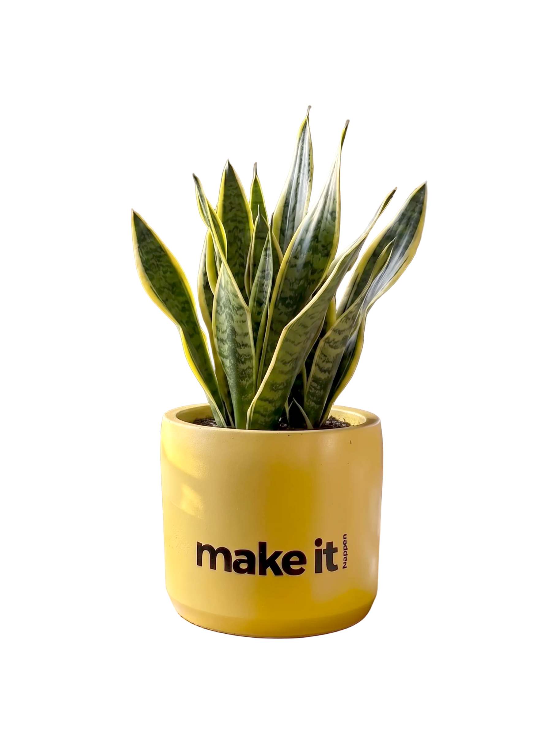 Make it happen -2 (M)