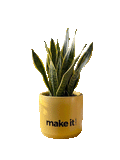 Make it happen -2 (M)
