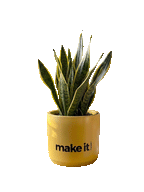 Make it happen -2 (M)