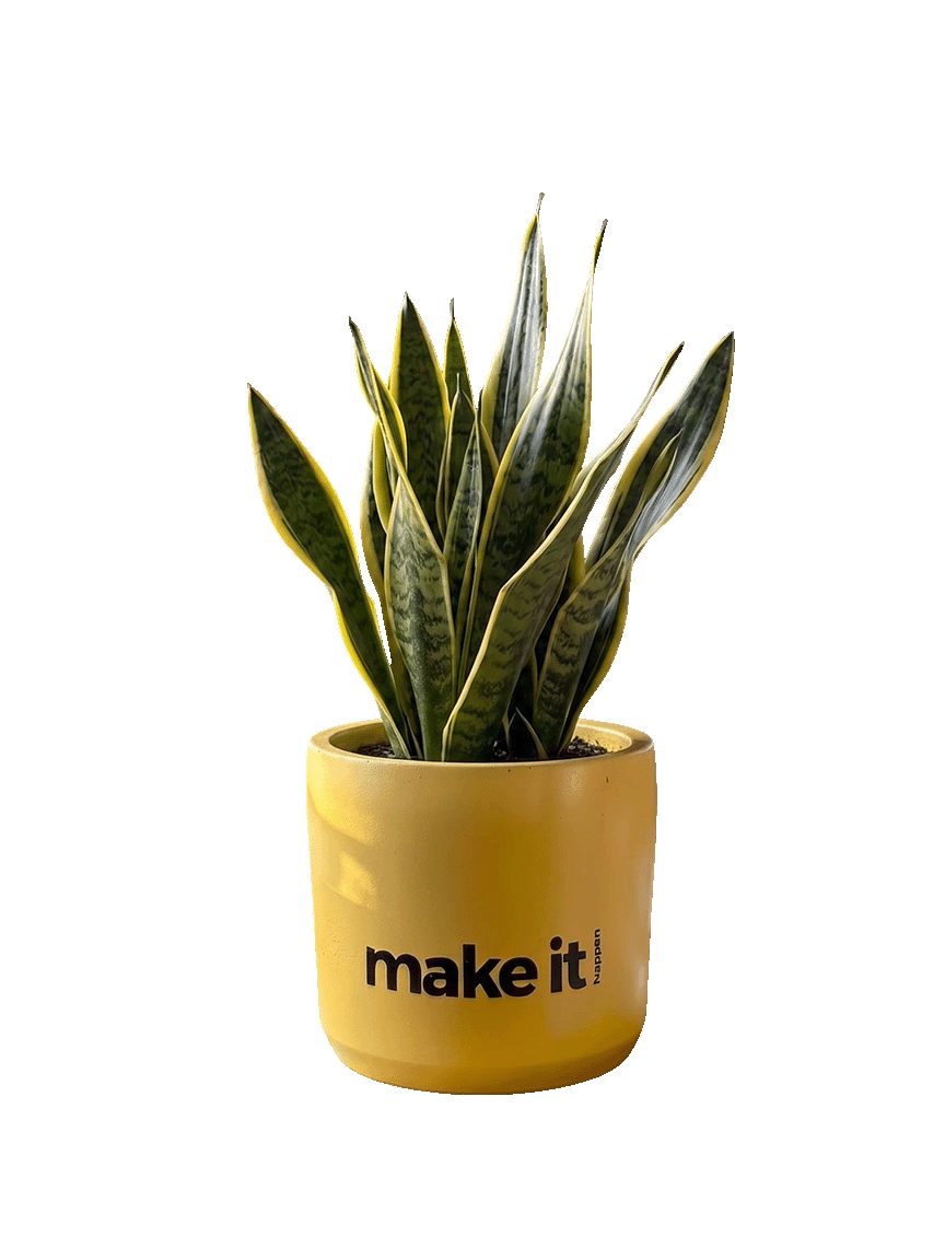 Make it happen -2 (M)