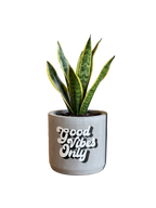 Good Vibes Only (M)