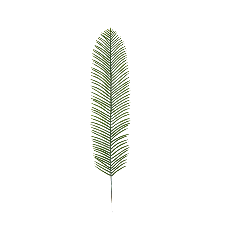 The Tropical Leaf