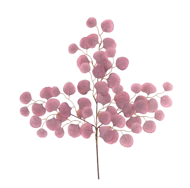 Sunset Eucalyptus