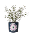 Al-Ain Planter (M)