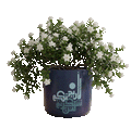 Navy Blue Calligraphy Planter (M)