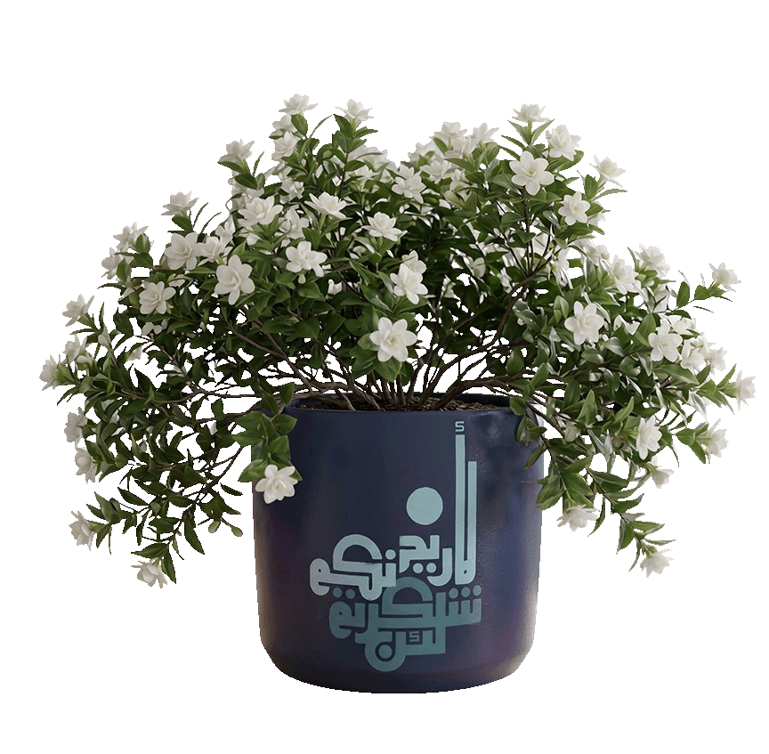 Navy Blue Calligraphy Planter (M)