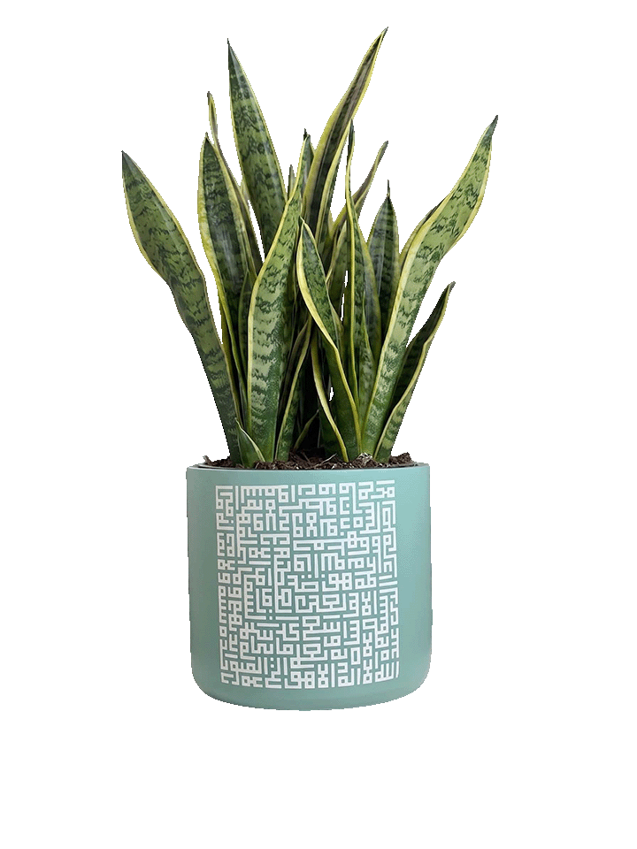 Teal Kufic: Ayat Al-Kursi (L)