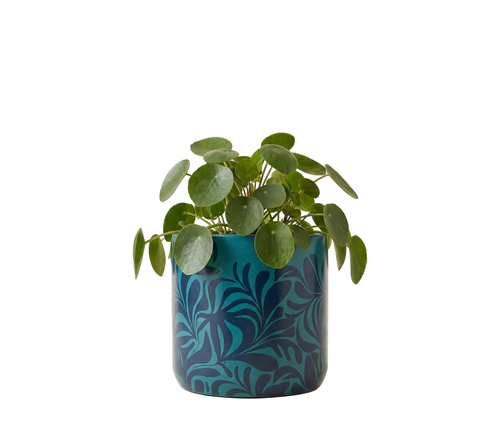 Teal Leaf Planter (M)