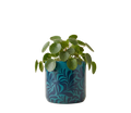 Teal Leaf Planter (M)