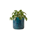 Teal Leaf Planter (M)